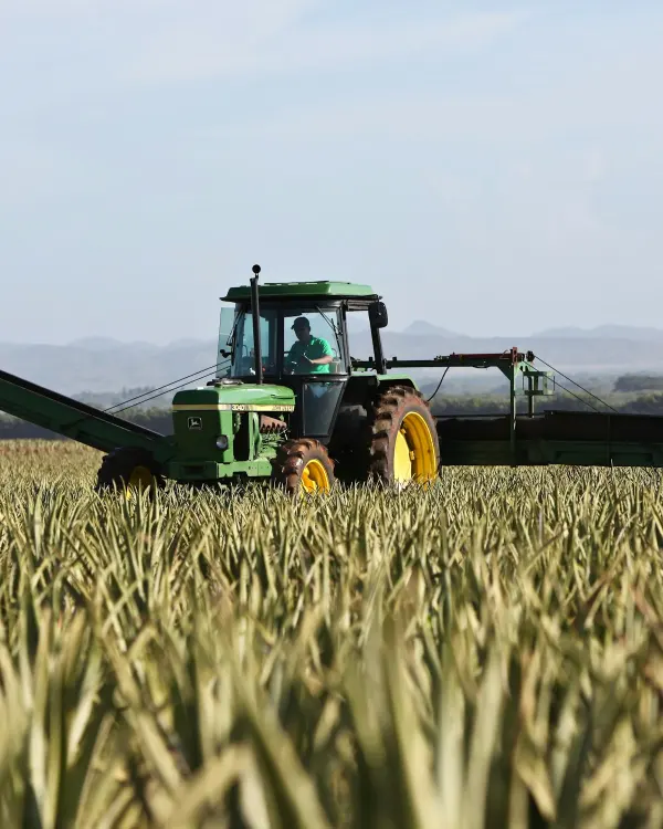 Tractor trabajando las líneas de un campo de cereal